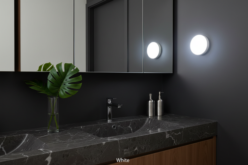 Rechargeable Motion Sensor Wall Light